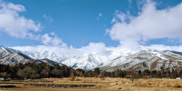 green trees and mountains under blue sky